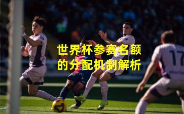 世界杯参赛名额的分配机制解析