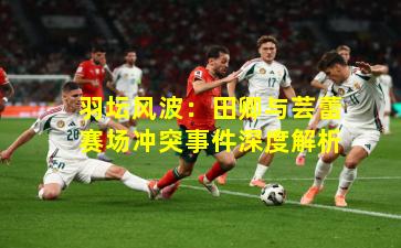 羽坛风波：田卿与芸蕾赛场冲突事件深度解析