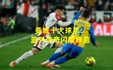 曼城十大球星:蓝月传奇闪耀绿茵